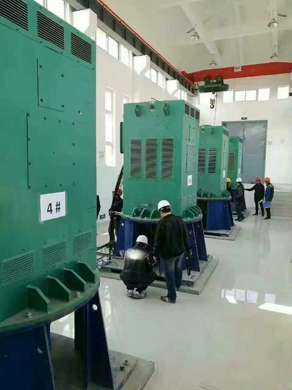 邛崃某污水处理厂使用我厂的立式高压电机安装现场